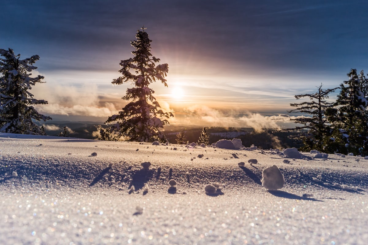 Verschneite Landschaft im Morgenlicht